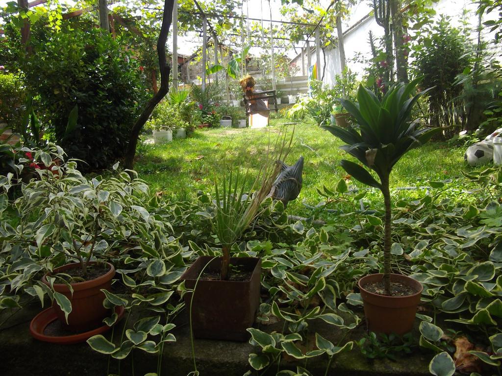 Sakutski House Hisarya Bagian luar foto